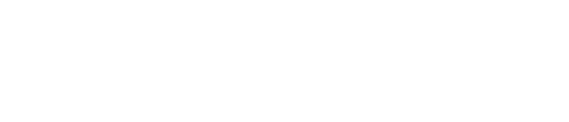 Virtual Virginia